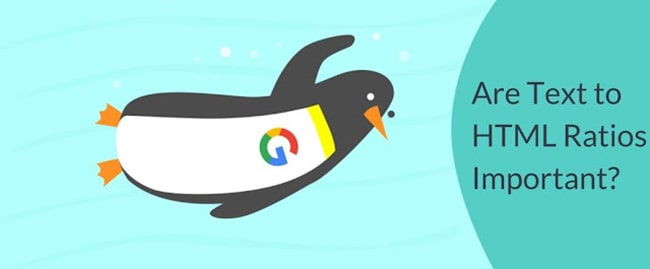 Text/HTML có ảnh hưởng như thế nào đến SEO?